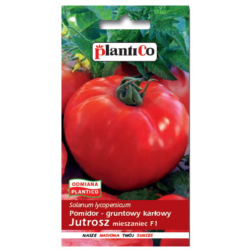 Pomidor Jutrosz - mieszaniec F1 0,5g PlantiCo