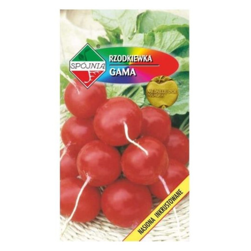 RZODKIEWKA GAMA