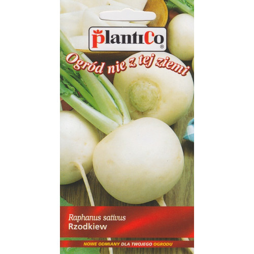 RZODKIEWKA RUNDER WEISSER 