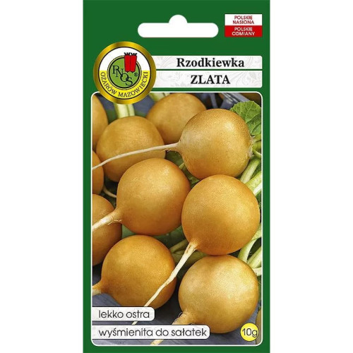 RZODKIEWKA ZLATA