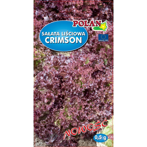 SAŁATA CRIMSON CZERWONA