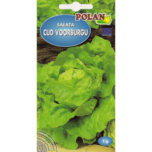 SAŁATA CUD VORBURGU