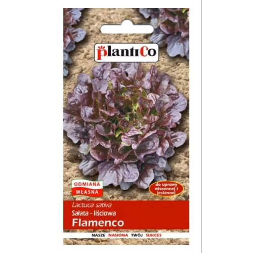 SAŁATA FLAMENCO LIŚCIOWA