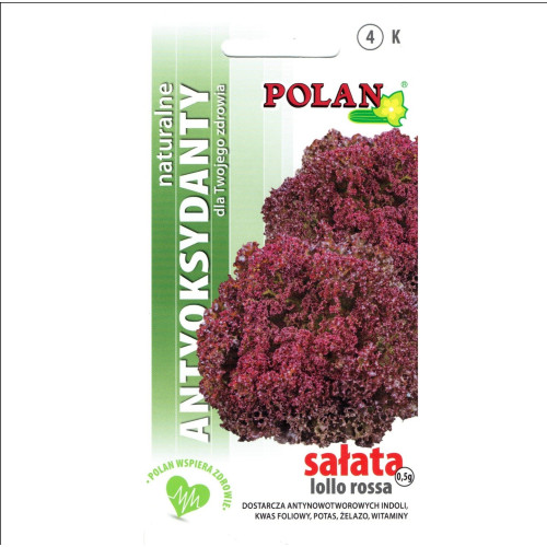 SAŁATA LIŚCIOWA LOLLO ROSSA