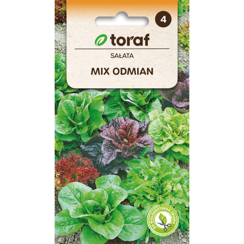 SAŁATA MIX ODMIAN