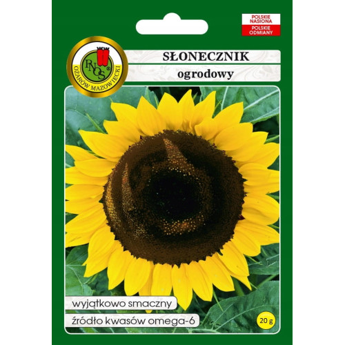 SŁONECZNIK OGRODOWY