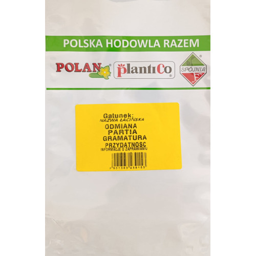 SŁONECZNIK OGRODOWY