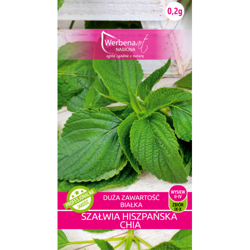 SZAŁWIA HISZPAŃSKA CHIA