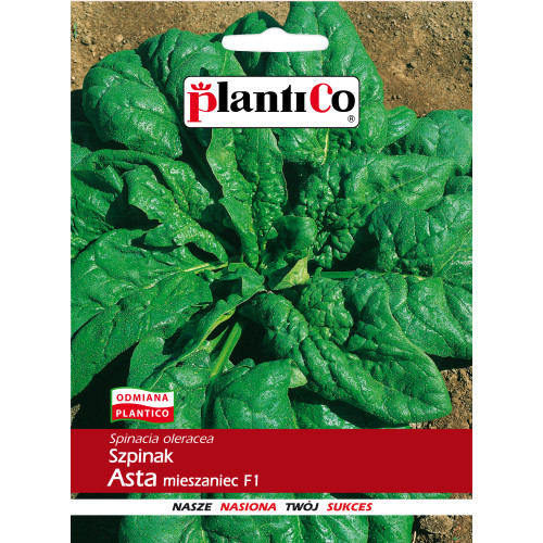 Szpinak Asta F1 10g Plantico