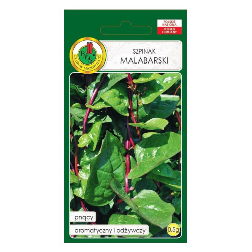 SZPINAK MALABARSKI PNĄCY