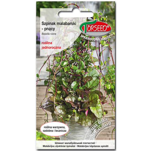 SZPINAK MALABARSKI PNĄCY