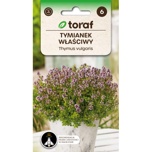 TYMIANEK WŁAŚCIWY