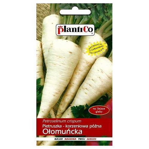 PIETRUSZKA OŁOMUŃCKA