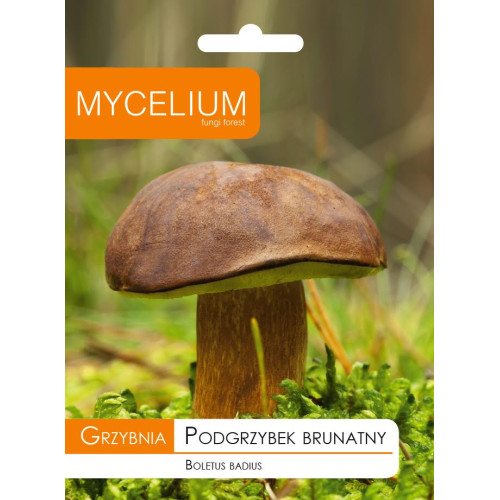 GRZYBNIA - MIKORYZOWA PODGRZYBEK BRUNATNY 60ml