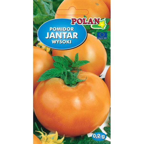 POMIDOR JANTAR