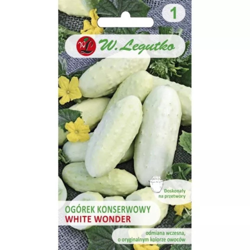 OGÓREK WHITE WONDER