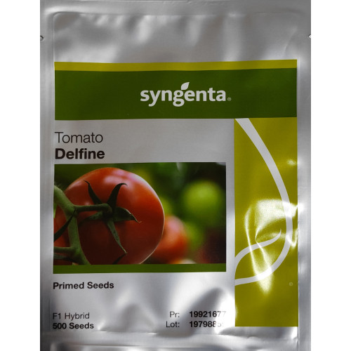 POMIDOR DELFINE S&G