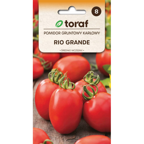 POMIDOR RIO GRANDE 