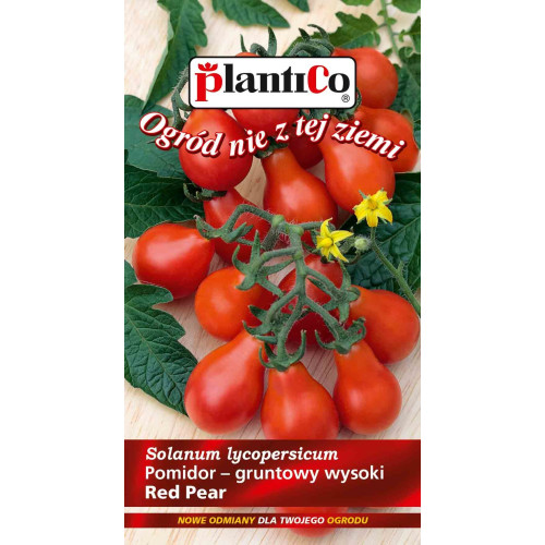 POMIDOR RED PEAR