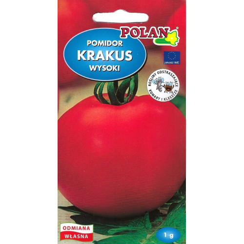 Pomidor Krakus wysoki 1g Polan