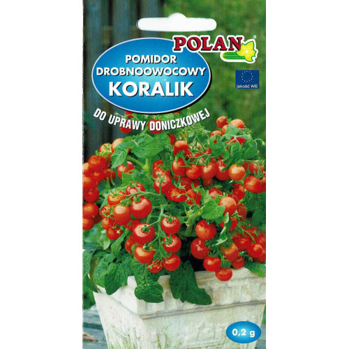 POMIDOR KORALIK