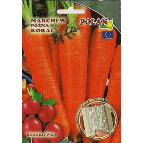 MARCHEW KORAL TAŚMA 6m