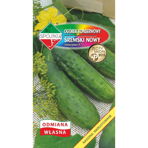 Ogórek gruntowy Śremski Nowy F1 2 g Spójnia
