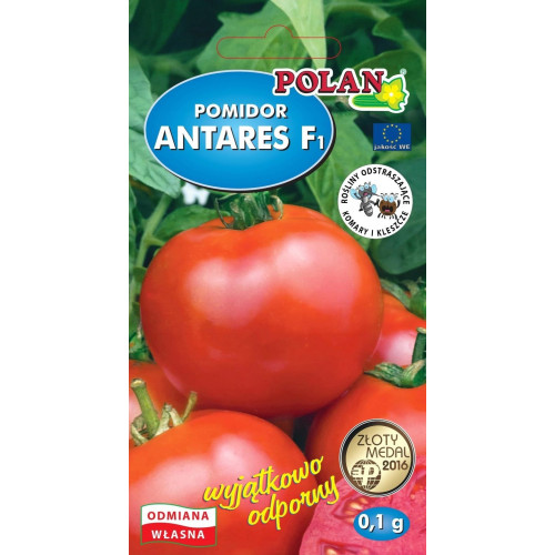 POMIDOR ANTARES F1