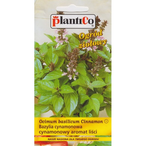 BAZYLIA CYNAMONOWA