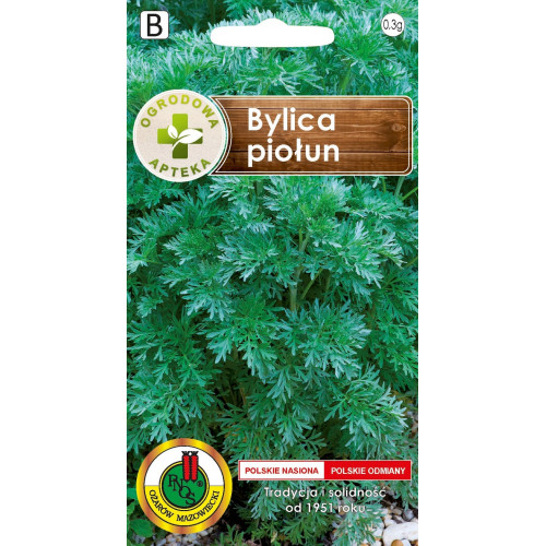 BYLICA - PIOŁUN