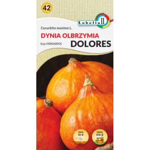 DYNIA OLBRZYMIA DOLORES