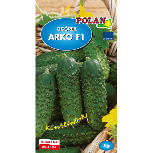 OGÓREK ARKO F1