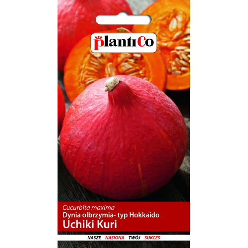 DYNIA OLBRZYMIA UCHIKI KURI - HOKKAIDO