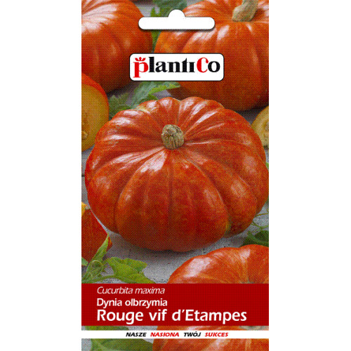 DYNIA ROUGE vif d'ETAMPES