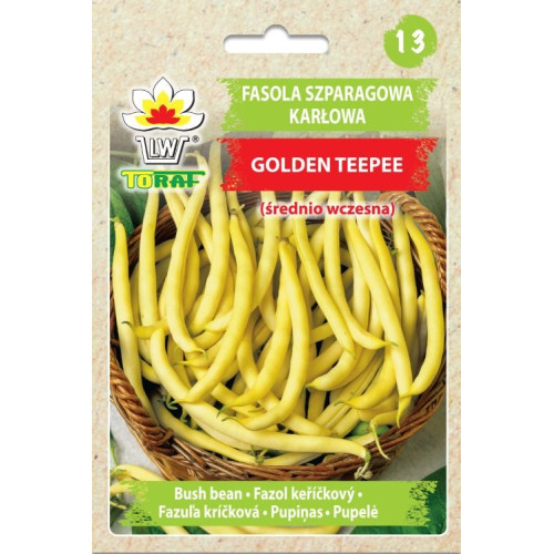 FASOLA GOLDEN TEEPEE