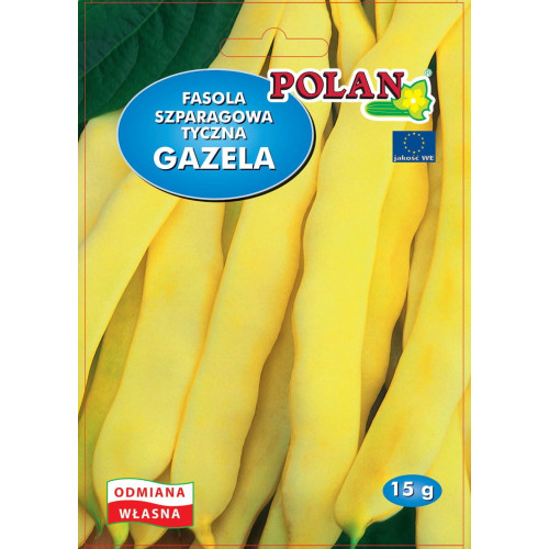 FASOLA GAZELA TYCZNA ŻÓŁTA 