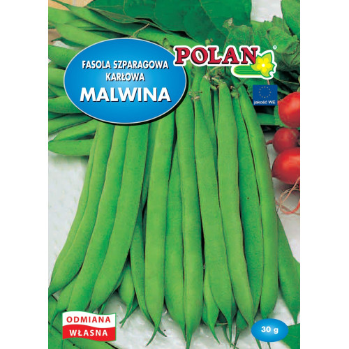 Fasola szparagowa karłowa Malwina 30g Polan