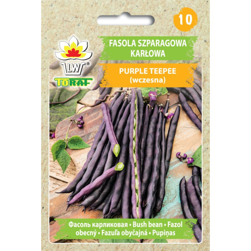 FASOLA PURPLE TEEPEE