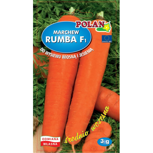 Marchew Rumba F1 3g Polan