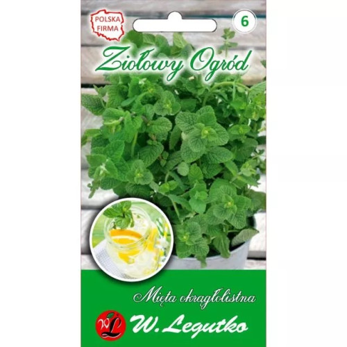 MIĘTA OKRĄGŁOLISTNA