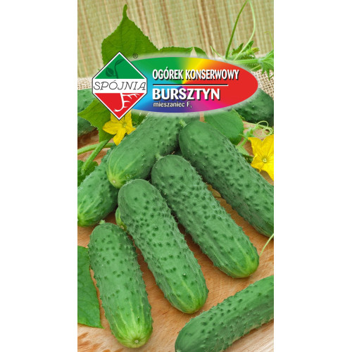 OGÓREK BURSZTYN F1