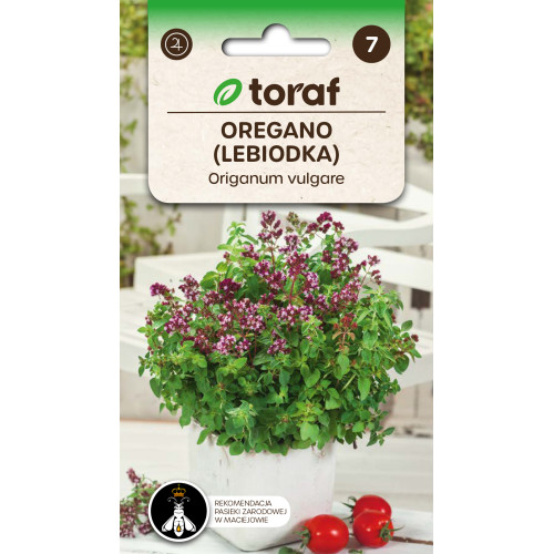 OREGANO - LEBIODKA POSPOLITA