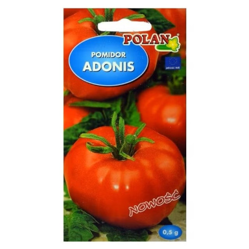 POMIDOR ADONIS