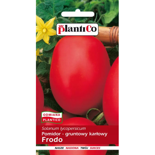 POMIDOR FRODO
