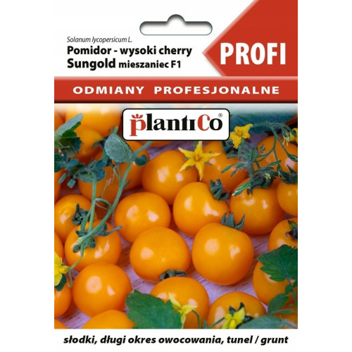 POMIDOR SUNGOLD F1 PROFI
