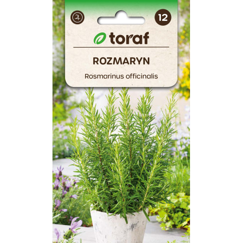 ROZMARYN