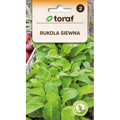 RUKOLA - ERUCA SATIVA