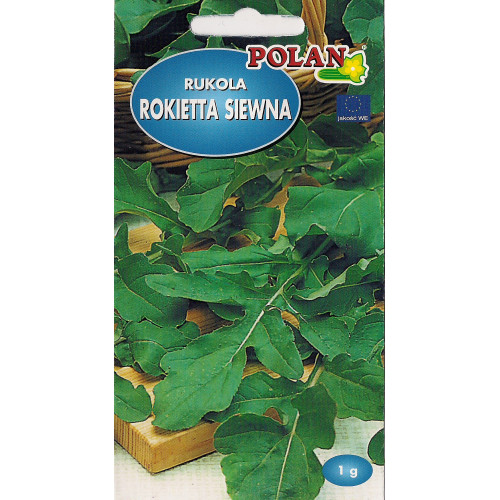 RUKOLA - ROKIETTA SIEWNA