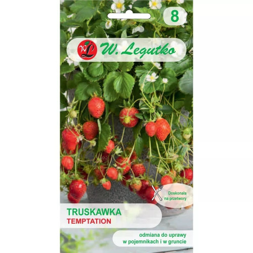 TRUSKAWKA TEMPTATION