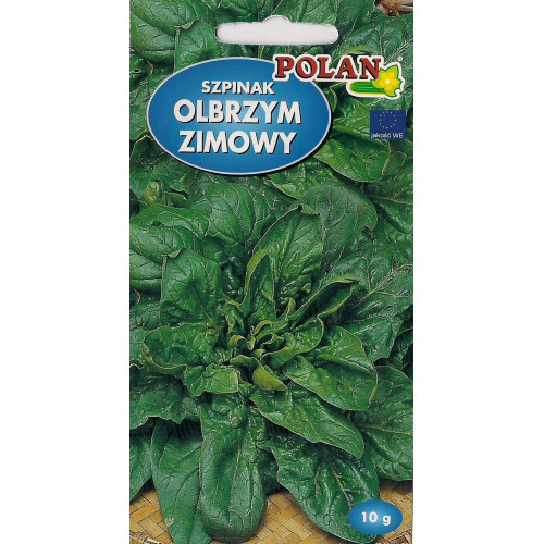 SZPINAK OLBRZYM ZIMOWY